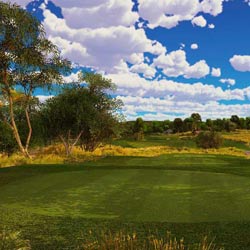 Virtual Golf Course